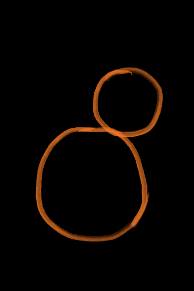 File:Karasa.png